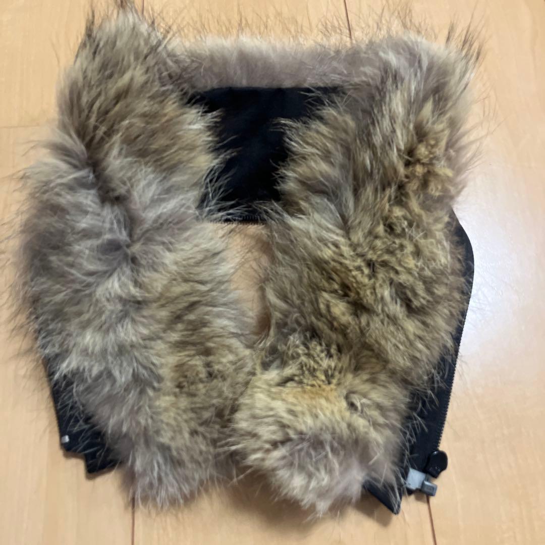 【美品/希少】エディフィス別注 カナダグース クレストン XS ★クリーニング済