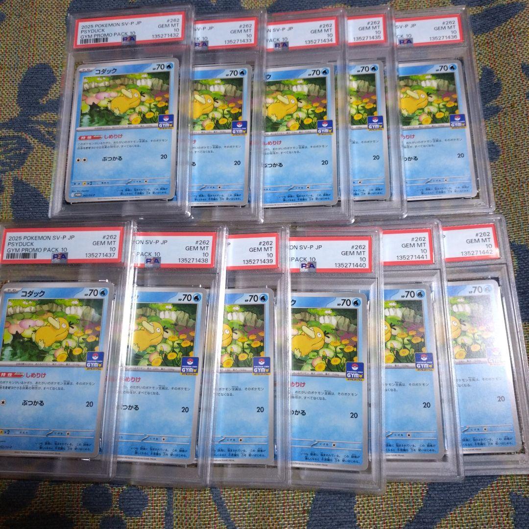 【PSA10】コダック しめりけ 262/SV-P ジムプロモ 11枚 連番