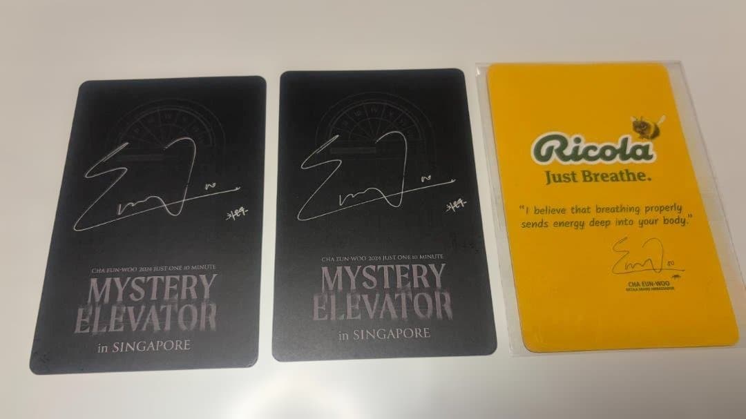 (お値下げ中) チャウヌ MYSTERYELEVATOR シンガポール公演トレカ