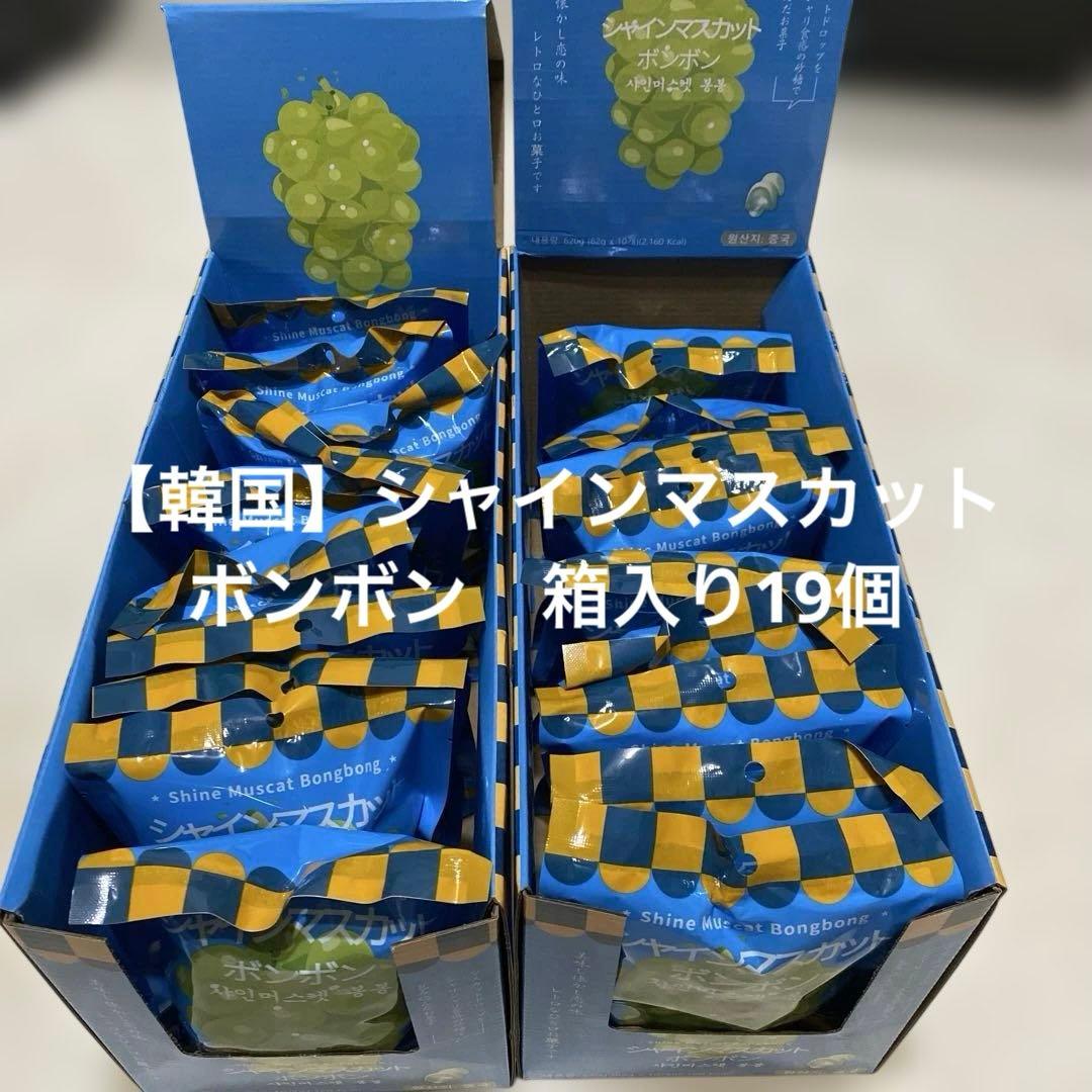 【韓国 】シャインマスカットボンボン　62g 19個セット　箱入り　ASMR