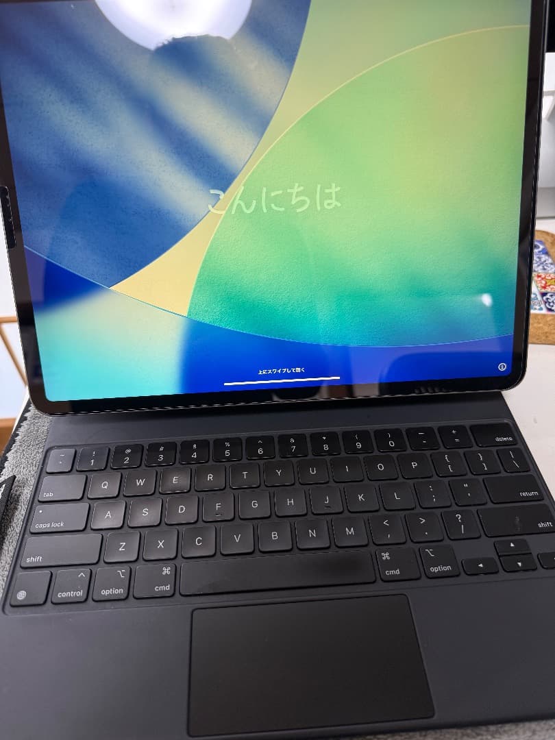 Apple iPad Pro 12..9 第3世代 1 TB