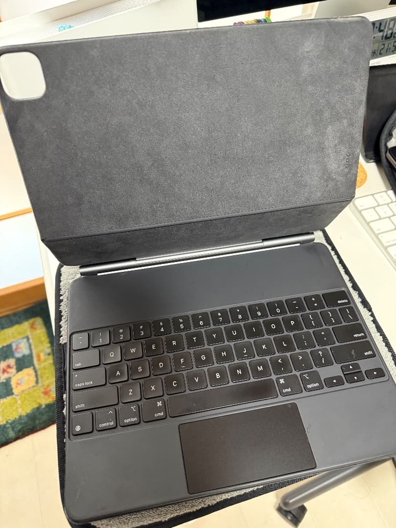 Apple iPad Pro 12..9 第3世代 1 TB