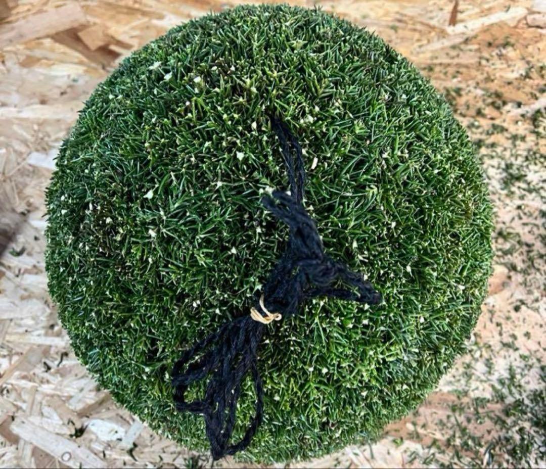 杉玉　約30センチ ‼️縁起物　丸くて幸せ　家族円満♪