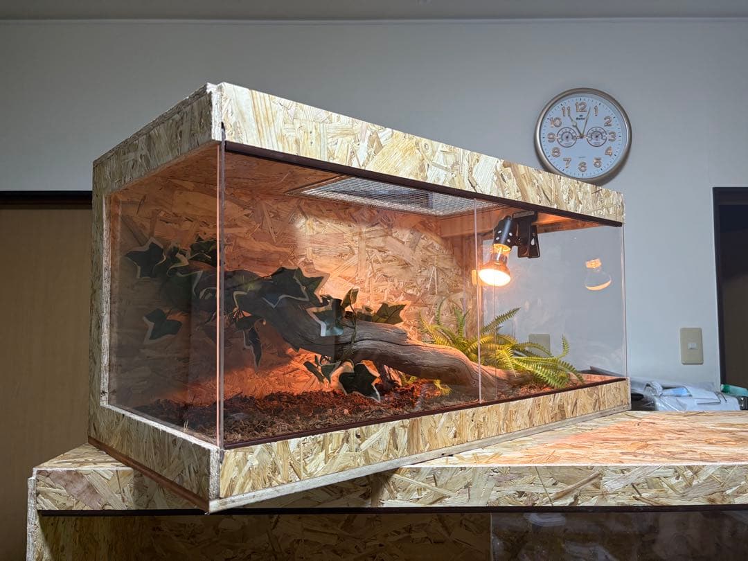 爬虫類ケージ 80×40×40 サイドアクリル　オプション付属品　飼育