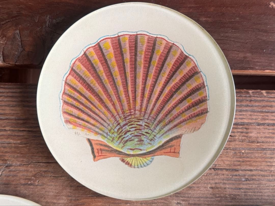 JOHN DERIAN デコパージュ　ジョンデリアン プレート 貝殻3点セット