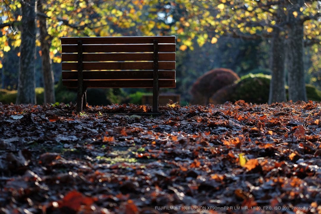 富士フイルム X-T10 レンズセット