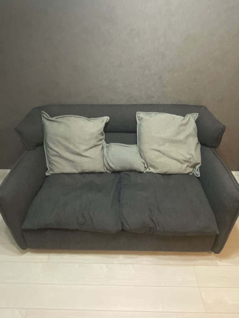 【入手困難】【現在廃番】ソファ　2人掛け　ニトリ　ソフティーナ　2人用