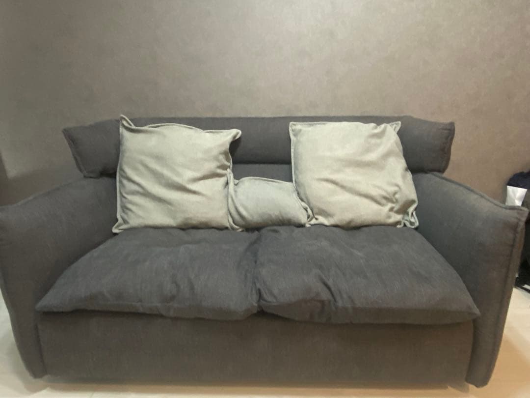 【入手困難】【現在廃番】ソファ　2人掛け　ニトリ　ソフティーナ　2人用