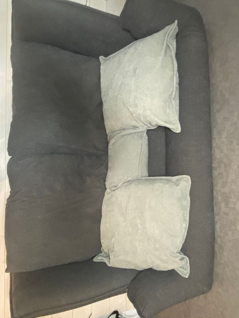 【入手困難】【現在廃番】ソファ　2人掛け　ニトリ　ソフティーナ　2人用