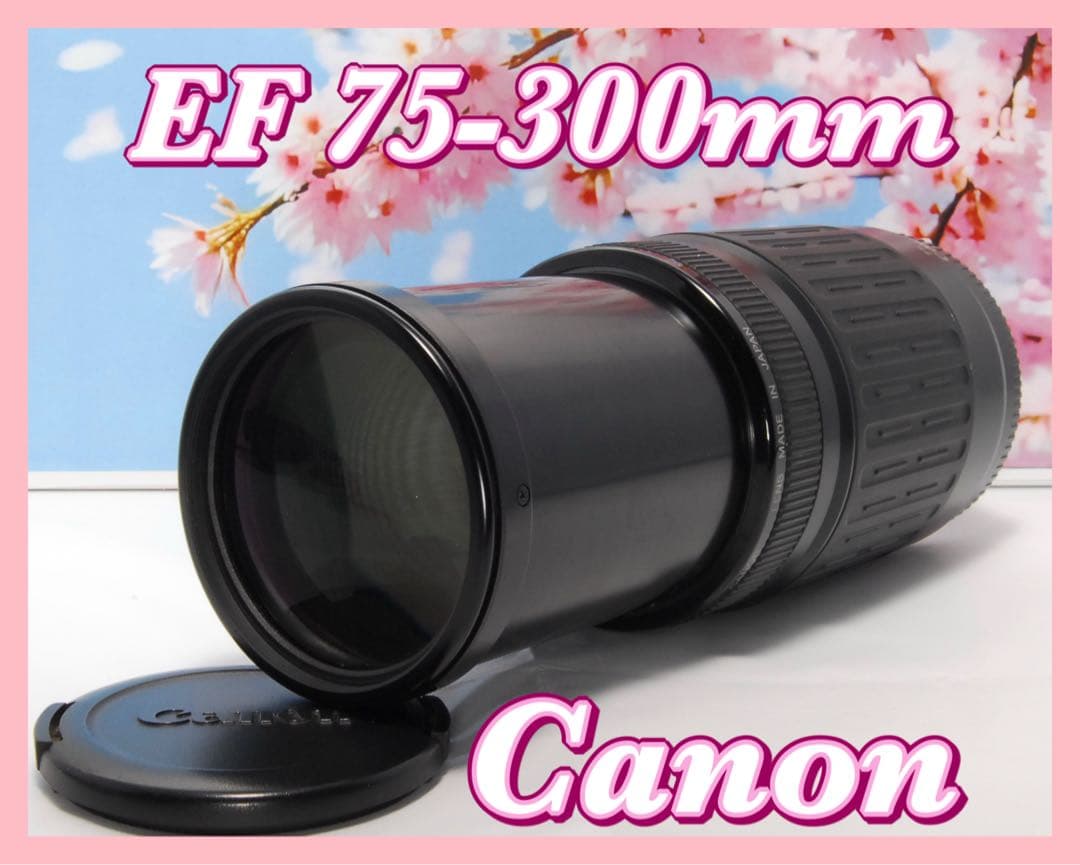 超望遠レンズ⭐️Canon EF 75-300mm 運動会 お遊戯会 にオススメ