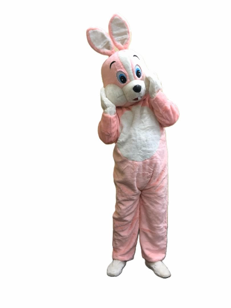 着ぐるみ　バニーちゃん