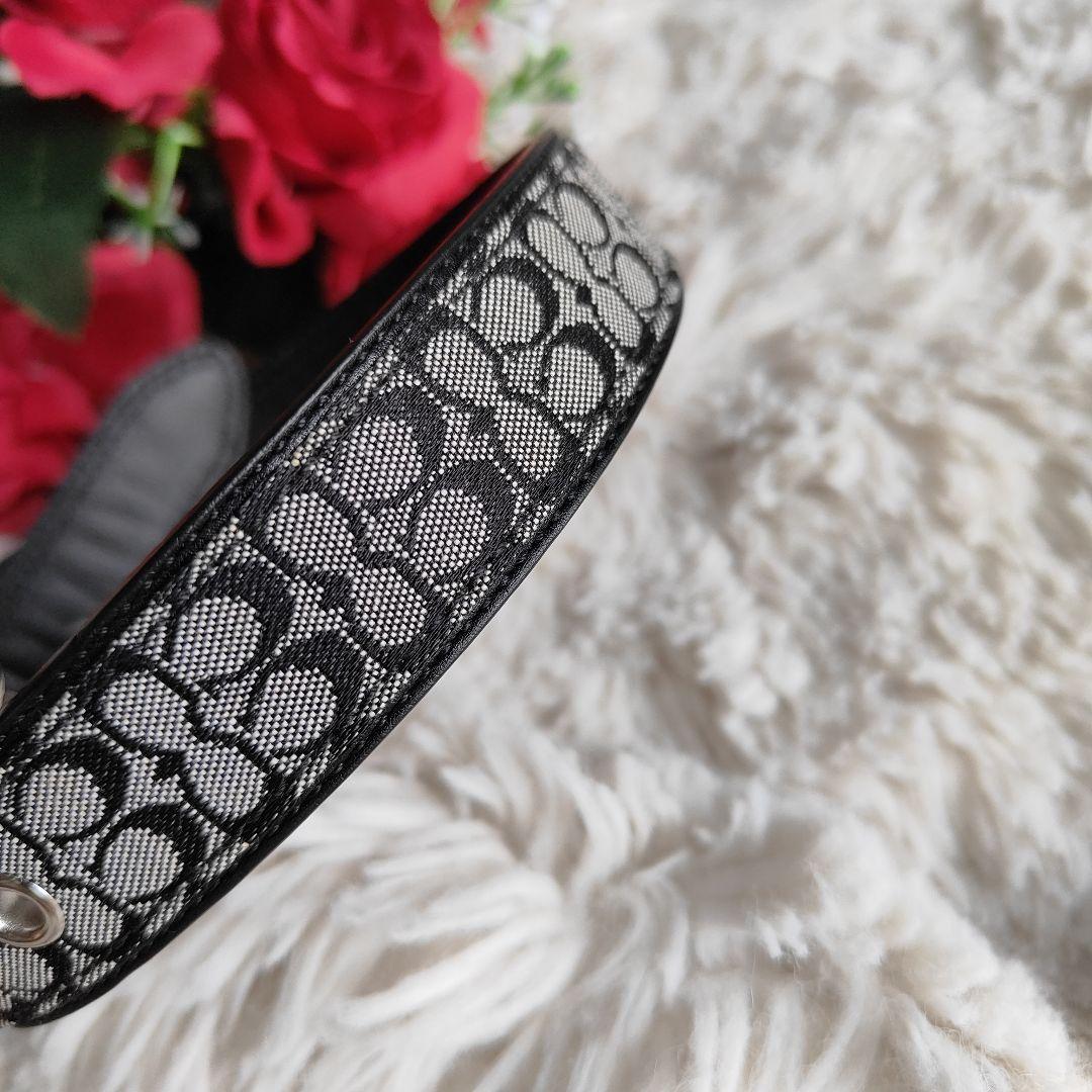 新品　コーチ　COACH　犬　首輪　中型犬　大型犬　ラージサイズ　シグネチャー