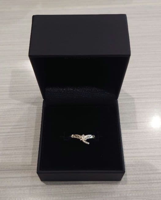 【終遠のヴィルシュ】イヴ モチーフリング シルバー 17号