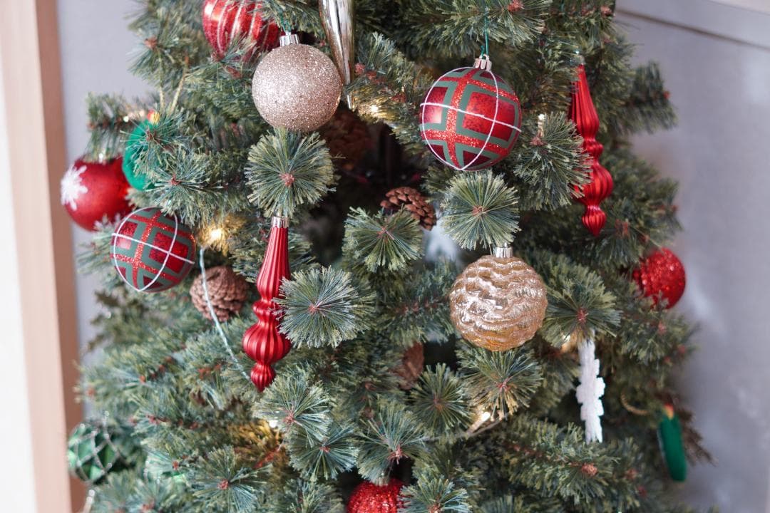 SONY FE 50mm F1.8 SEL50F18F 単焦点レンズ