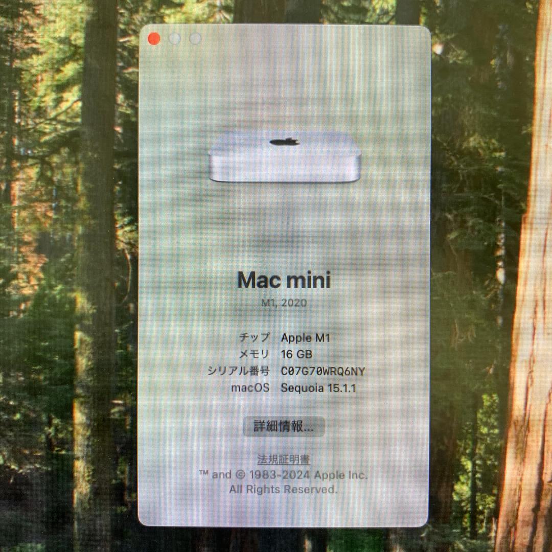H*a様 【使用頻度極少】Mac mini 2020 M1 16GB