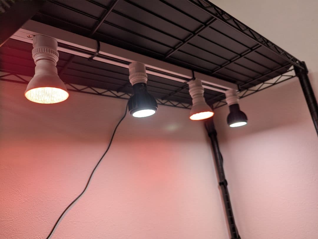 植物管理ラック LEDライト、ダクトレール、サーキュレーター付属