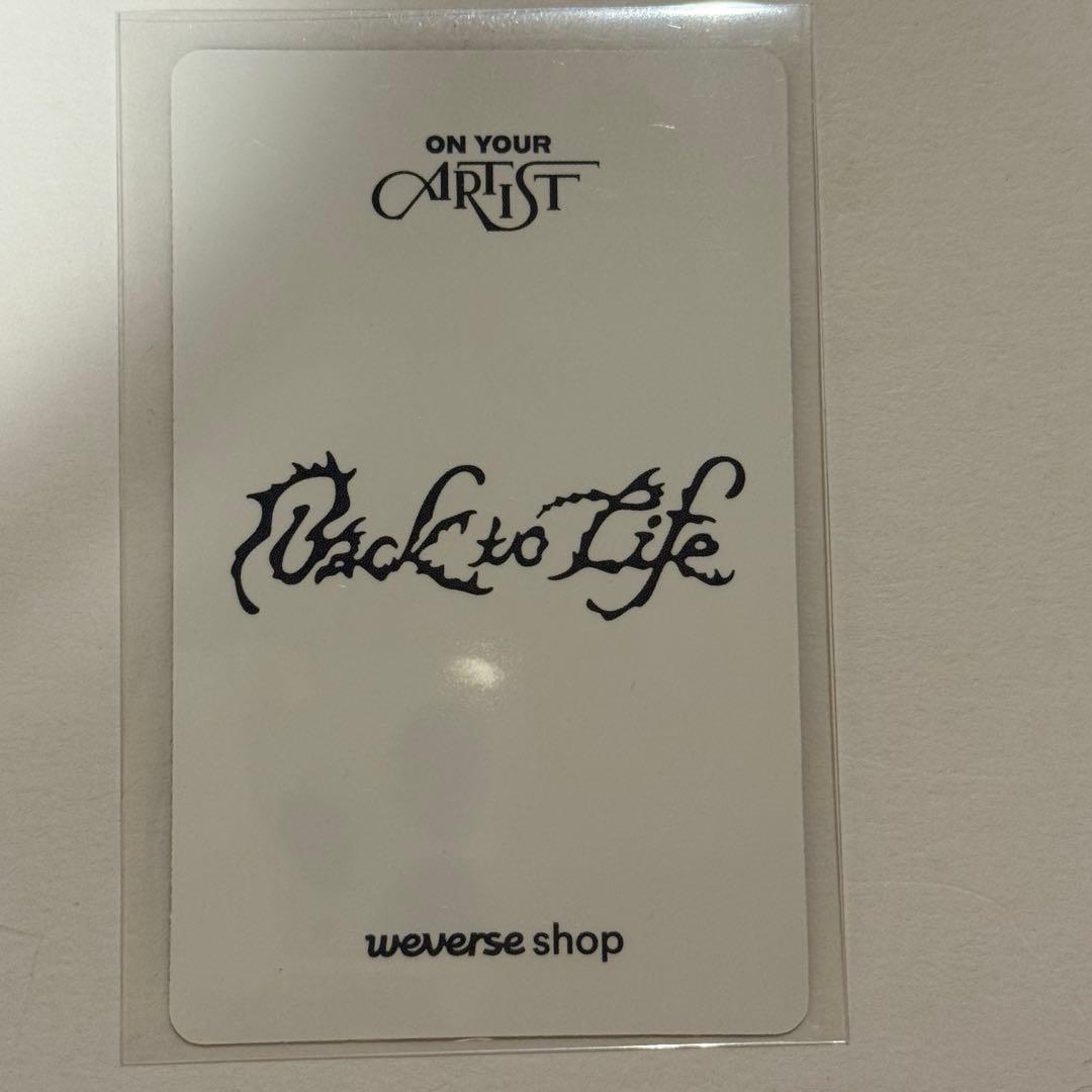 タレントカード &TEAM back to life M2 K