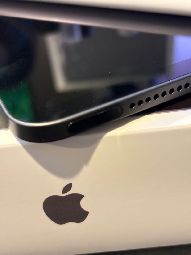 Mr.Rius iPad mini 6世代 スペースグレーアップルペンシル