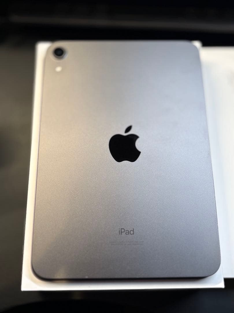 Mr.Rius iPad mini 6世代 スペースグレーアップルペンシル