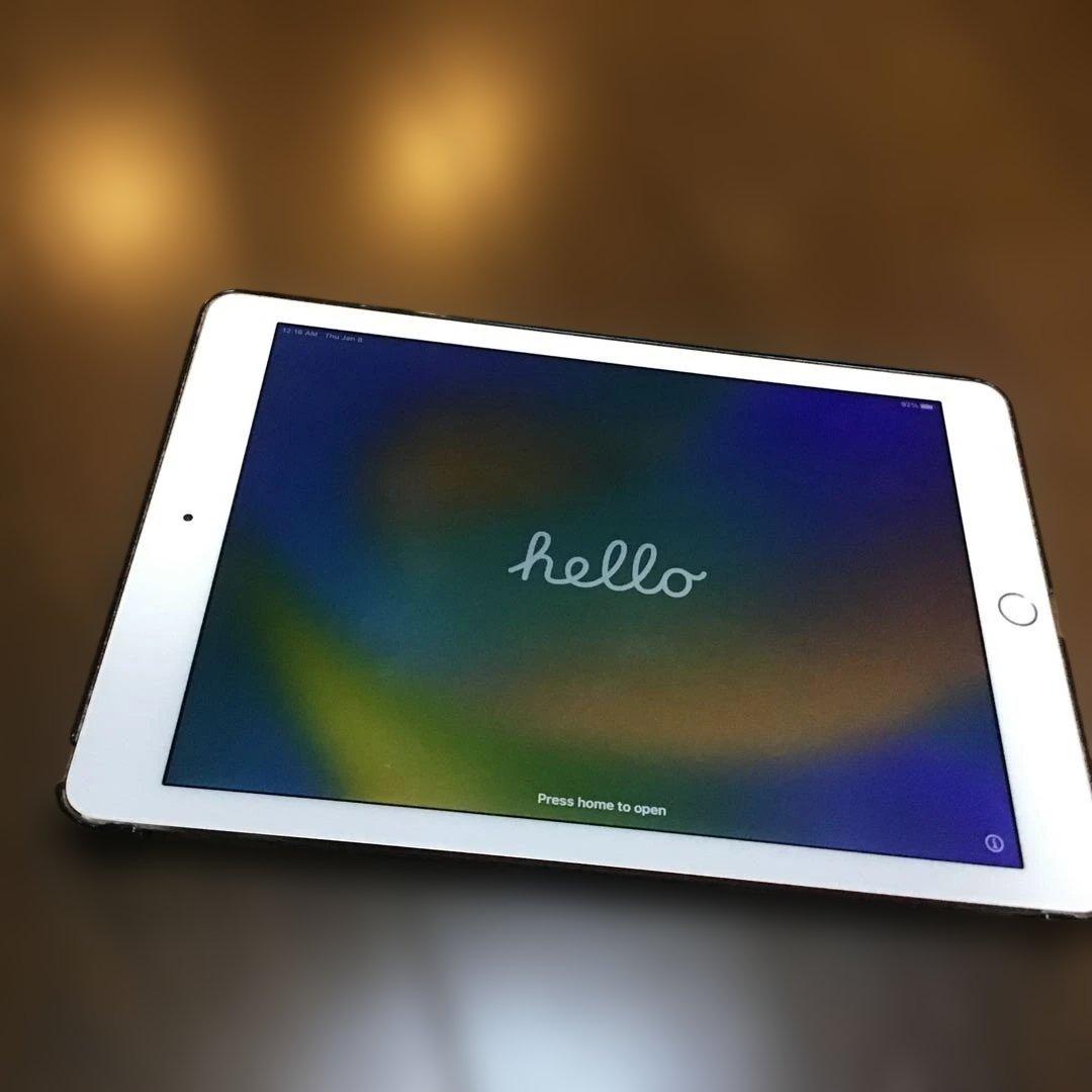 iPad Pro　9.7インチ　256GB　WiFi　画面赤みあり