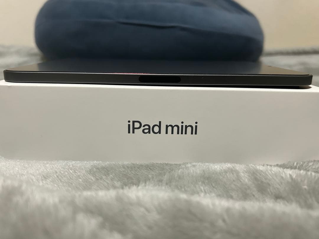 iPad mini(第6世代)256GB Wi-Fiモデル　スペースグレイ