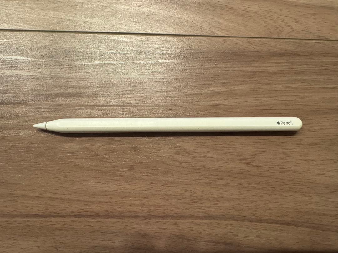 し*ま様 ⭐️新品交換済⭐️ iPad Pro 11インチ　本体 + Apple