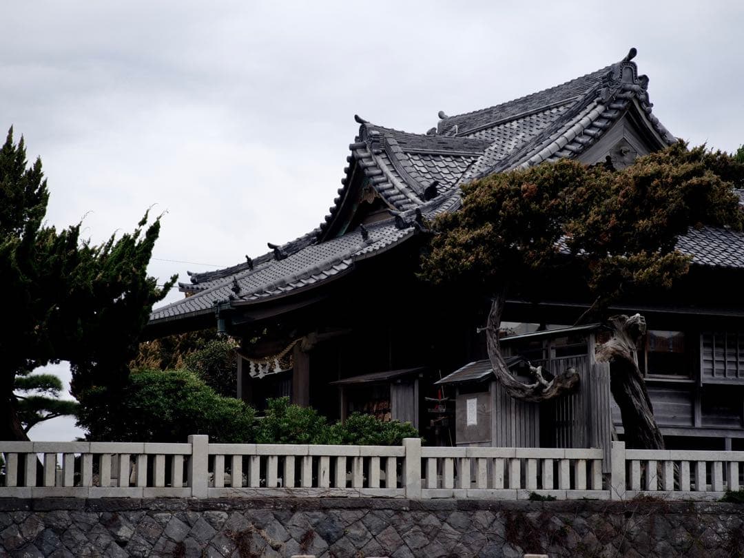 CONTAX Planar 135mm F2 AEG コンタックス プラナー