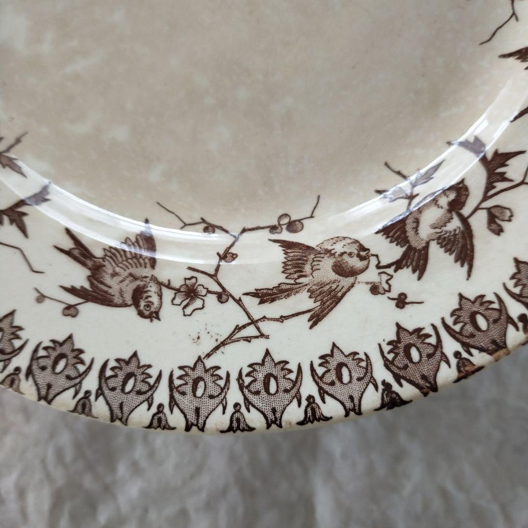 【希少】ショワジールロワ　燕　枯れ色ブラウン　コンポティエ