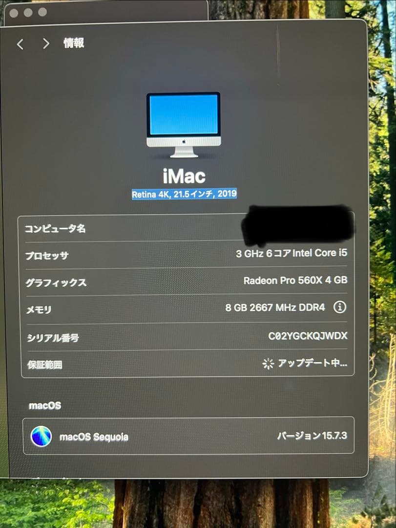 l*3様 iMac 2019 21.5インチ Retina 4K