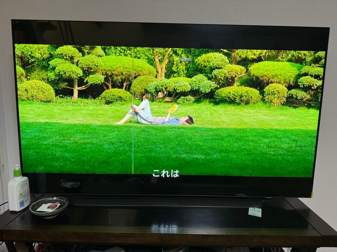 もあいさん専用　LG OLEDテレビ 大画面 有機EL 65インチ