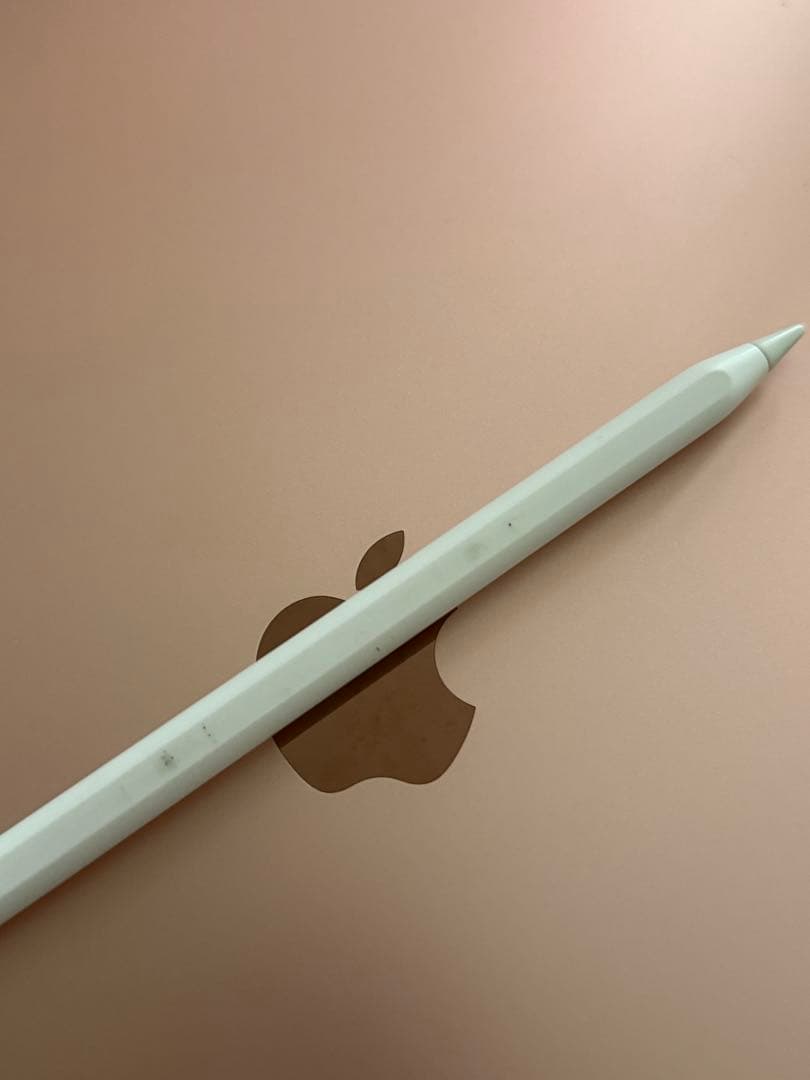 れ*む様 a*4様 iPad Air 第4世代 ローズゴールド Apple Pe