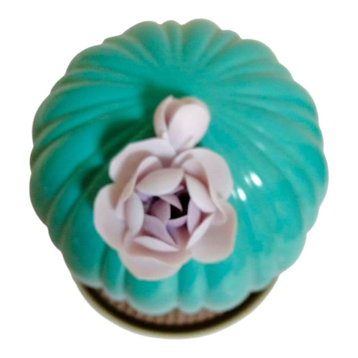 【美品】リヤドロのフェロカクタス - ナイトアプローチ ディフューザー