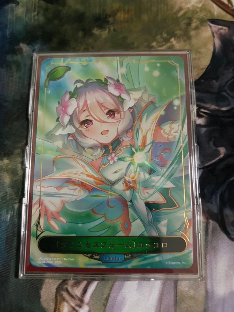 ［プリンセスフォーム］コッコロ　リーダー