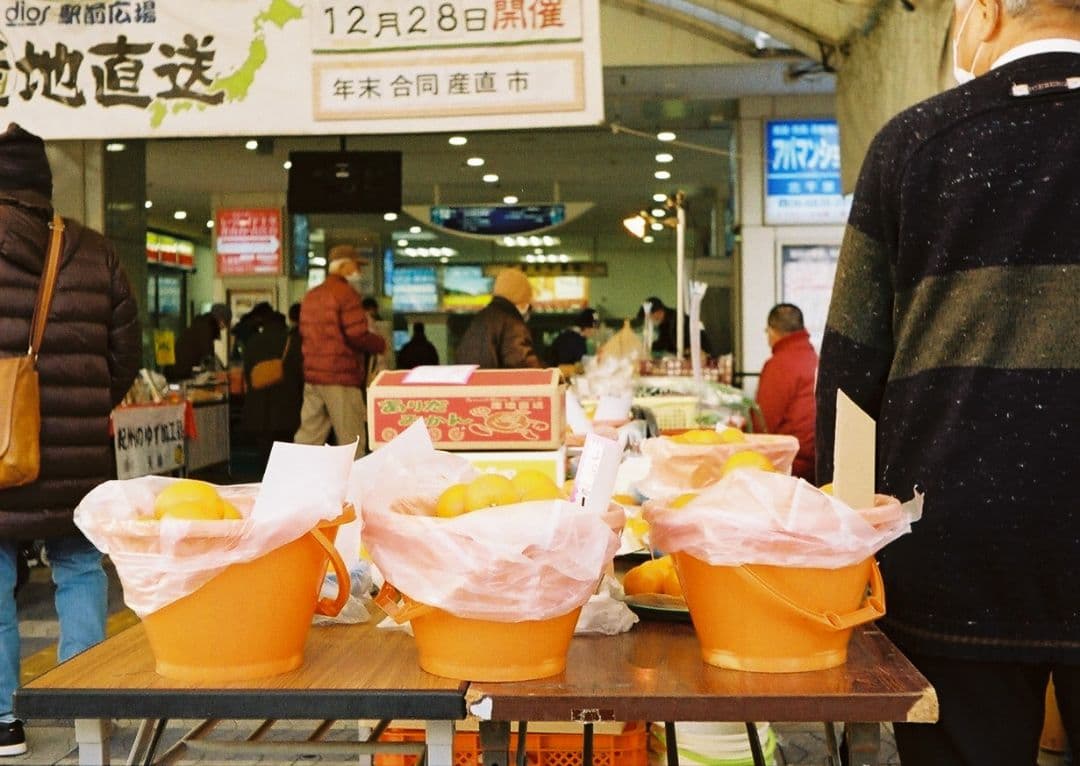 【整備・実写済み】minolta repo⭐珍しい初期型モデルを東欧風に♪