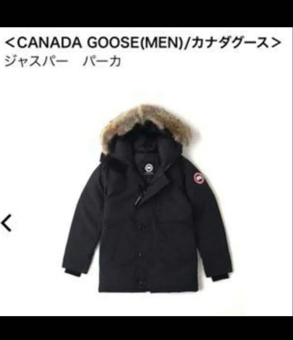 ハントさん専用  ジャスパー