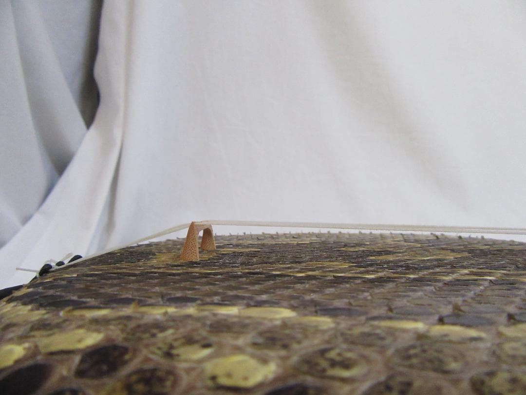 黒*〜様 三線 ケース 爪 楽譜 弦 ギターピック スタンド 初心者向けセット