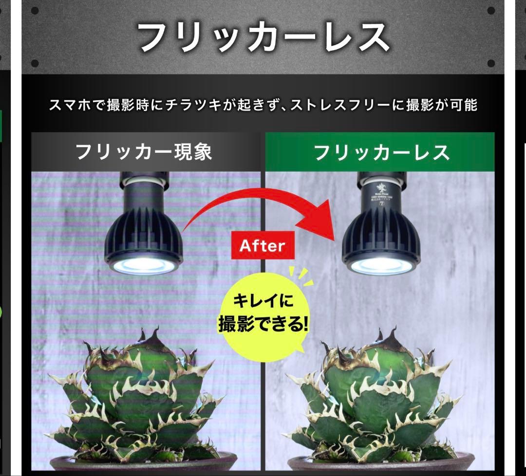 植物育成ライトLED怪獣ビーム12wソケット付き3個セット