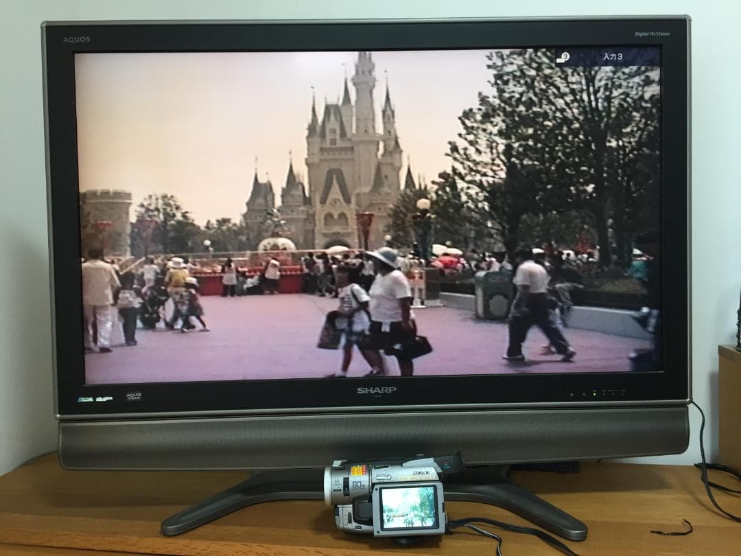 美品　撮影再生ダビングOK　SONY　DCR-TRV310　付属品有　Hi8