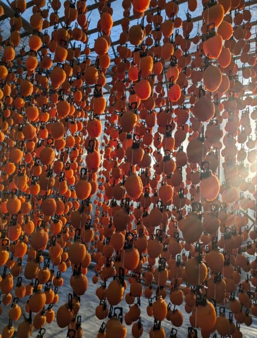 ⑦ 大玉 市田柿 ３kg 3Lサイズ 長野県産 農家直送 干し柿