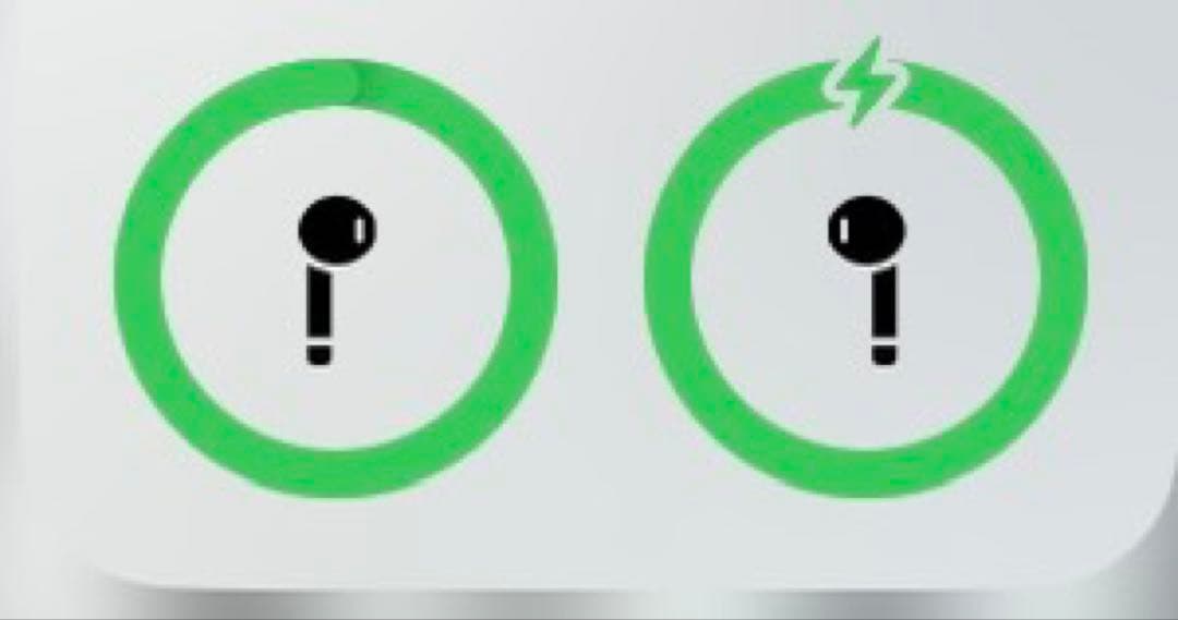 Apple AirPods 本体 Charging Case付き