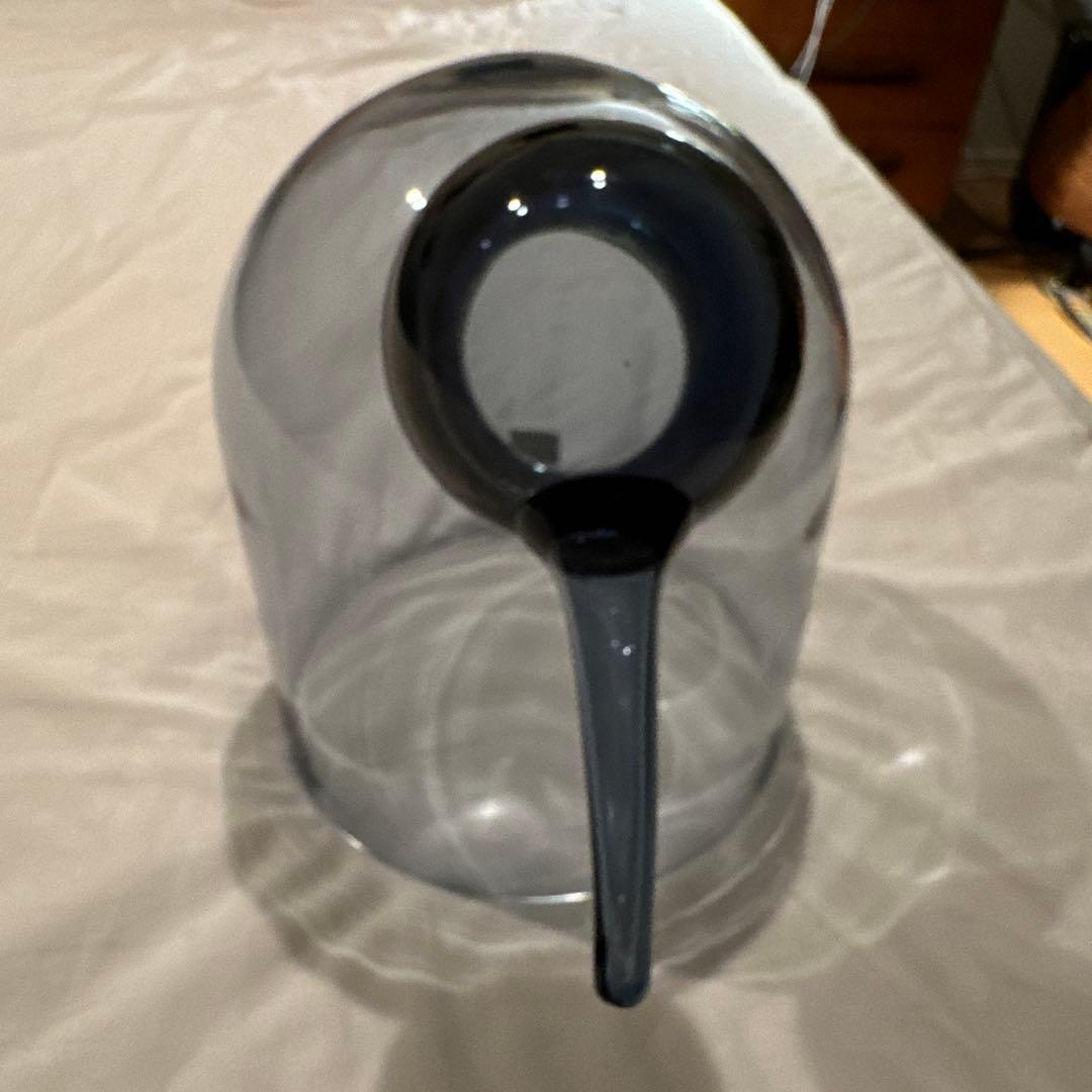 イッタラ　バード　Anna レイン　美品　箱あり