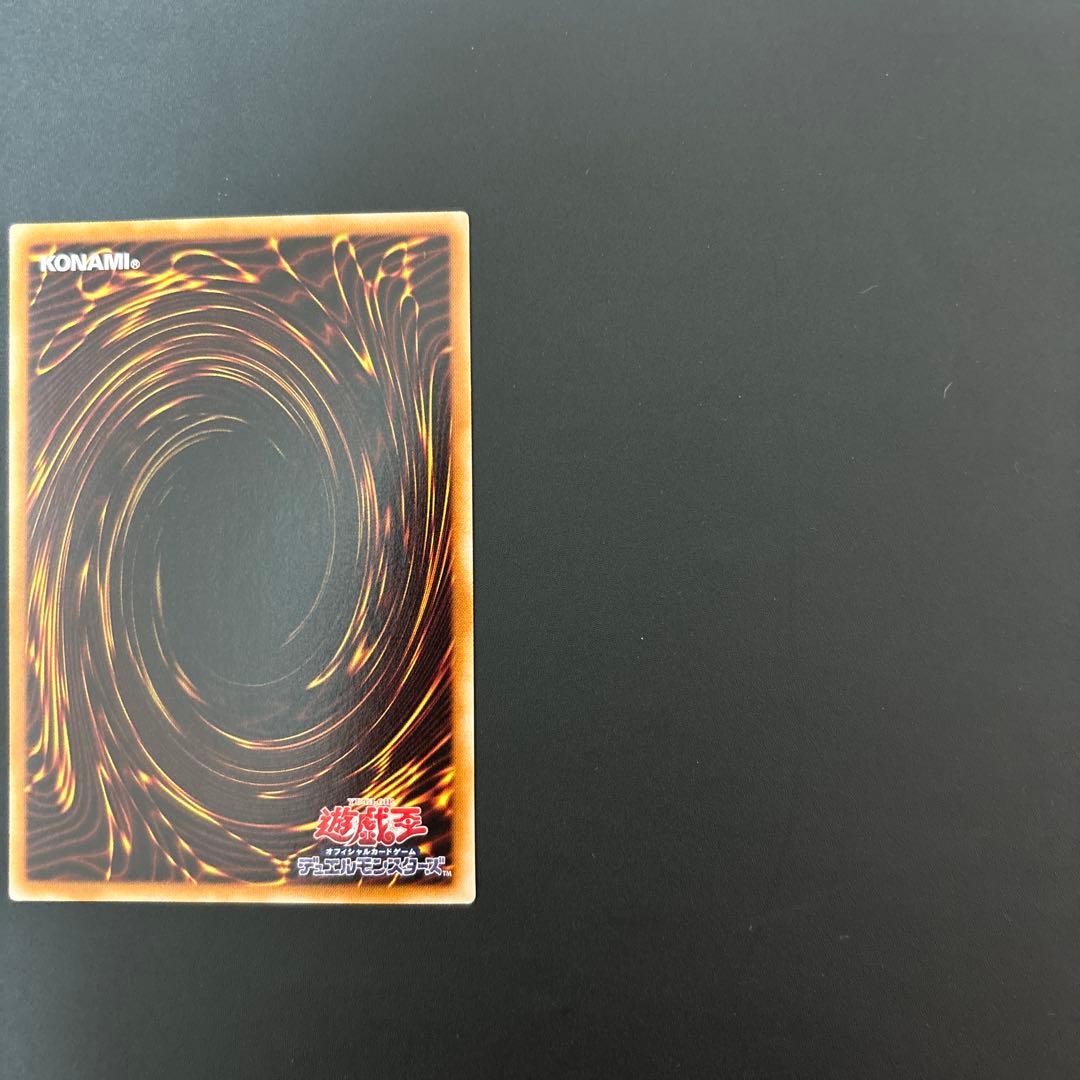 ブラックローズドラゴン ホロ