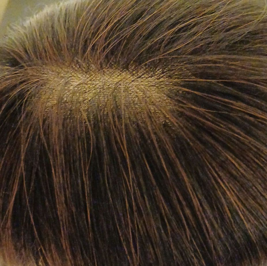 ダークブラウン ショートボブウィッグ 前髪あり　(ジュリアオージェ)