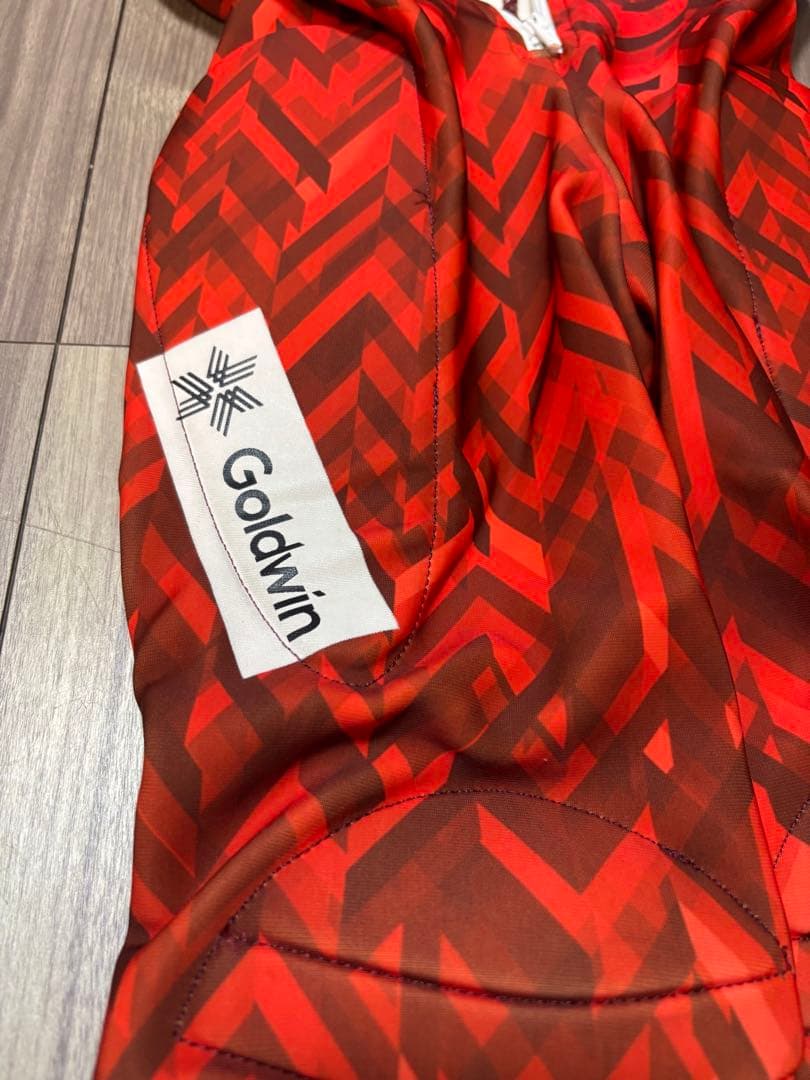 Goldwin 子供 ジュニア スキーウェア レーシングGJ21840P