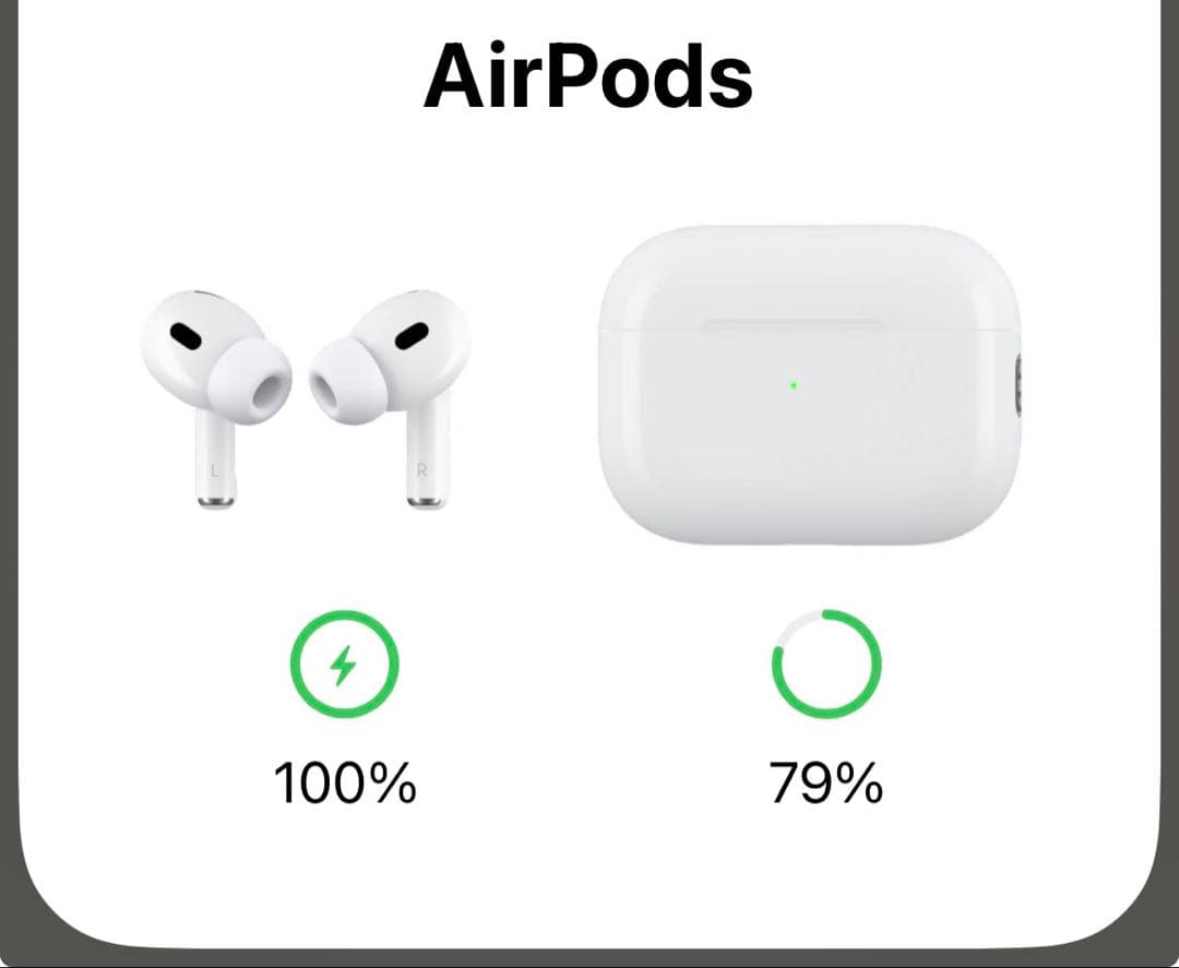 Apple AirPods Pro 第2世代・Lightning端子