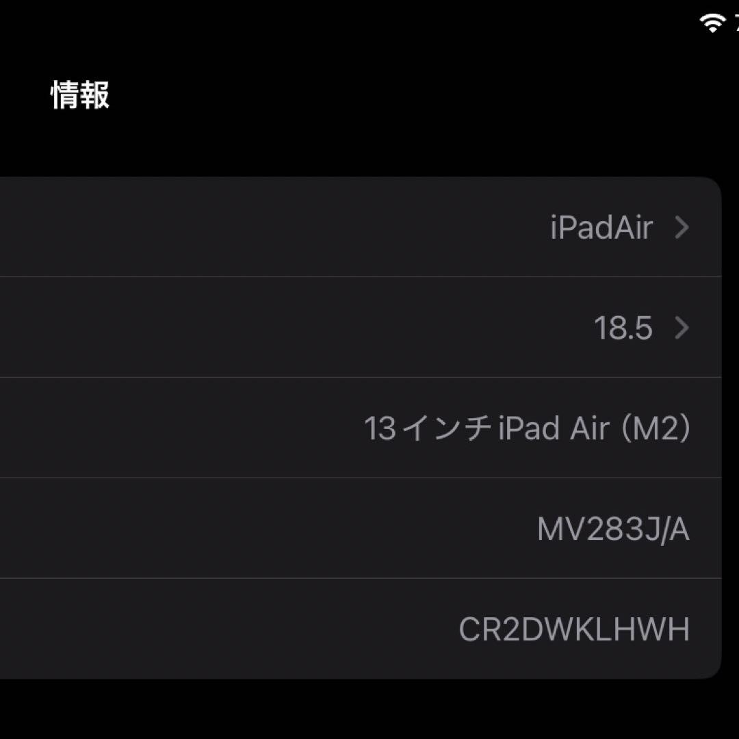 iPad Air (M2) 13in 128GB Blue Wifi ケース付