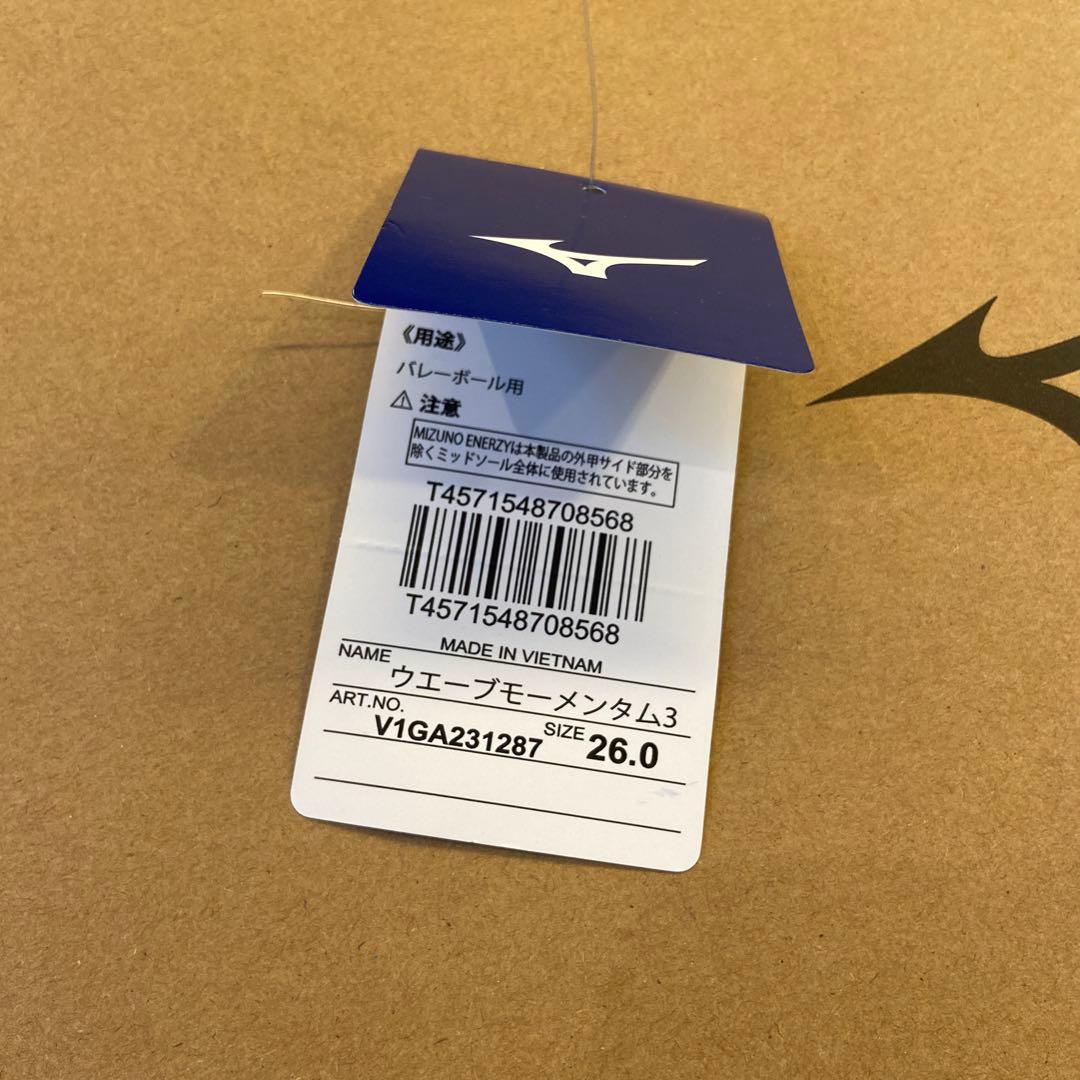 Mizuno バレーボールシューズ ミントグリーン　26センチ　限定品