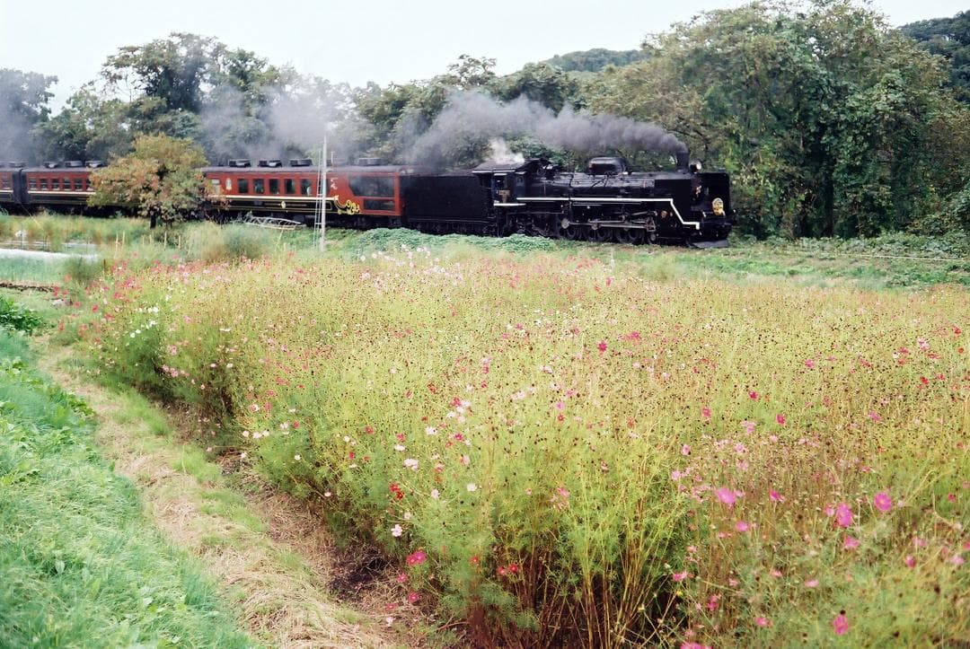 キャノネットQL17GⅢブラック／40mmf1.7付【実写確認整備済】