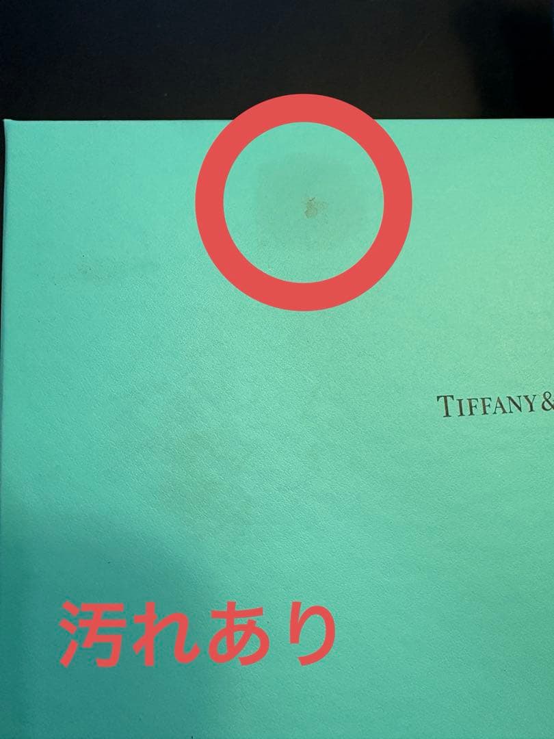 TIFFANY＆CO ティファニー ピギーバンク ブタ 　※お値引きしました