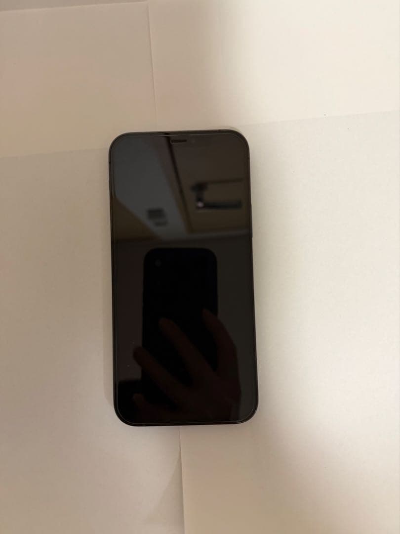 Apple iPhone 12pro 256gb +おまけ